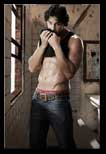 Dino Morea