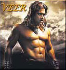 Veer